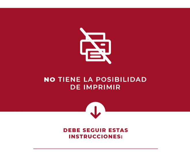 NO PUEDE IMPRIMIR
