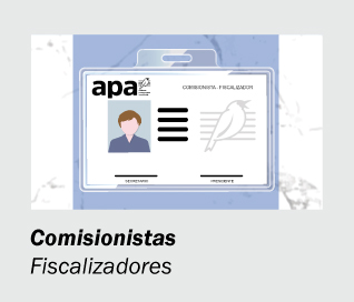 APA-WEB---ICONO-COMISIONISTAS-2